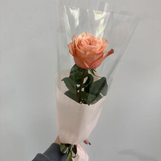 Роза Кахала в стильной упаковке 🌸