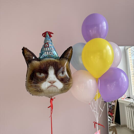 Шары с котом