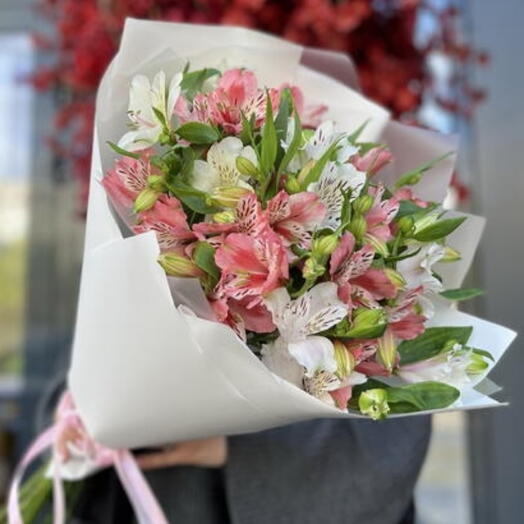 Бело-розовая альстромерия в белой упаковке 💕