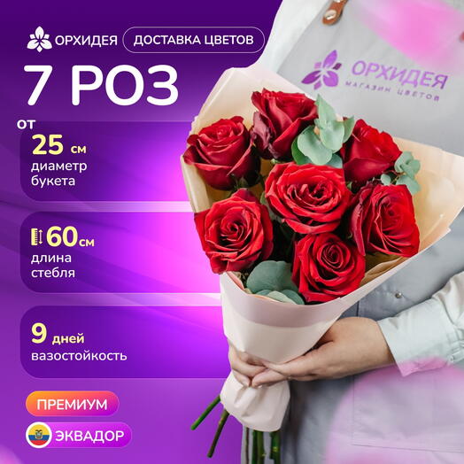 7 роз "Эксплорер"