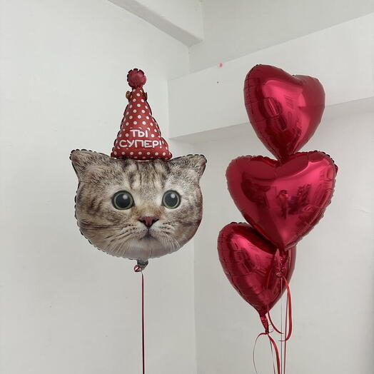 Шарики сердечки и котик