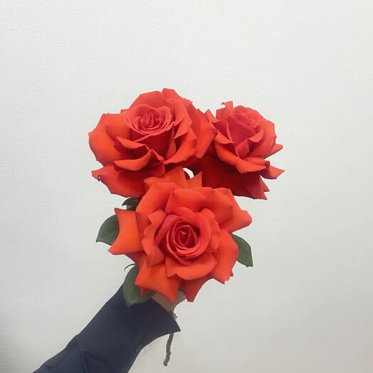 Букет из 3х красных роз🤫