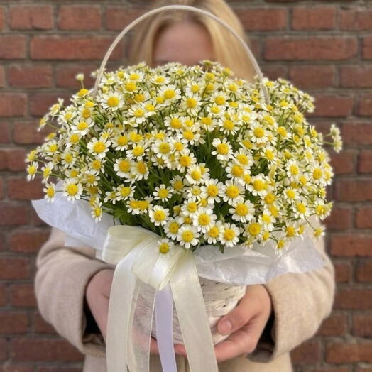 Небольшая корзиночка с ромашкой🌼
