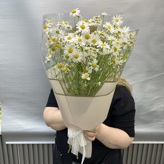 Ромашка 🌼🌼🌼🌼полевая