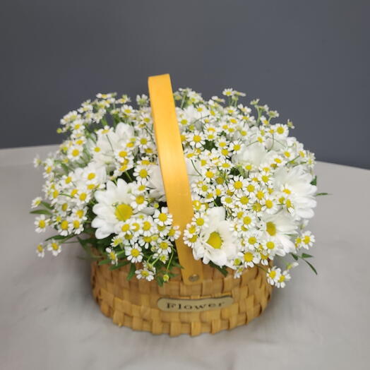 Корзина с хризантемой и ромашками