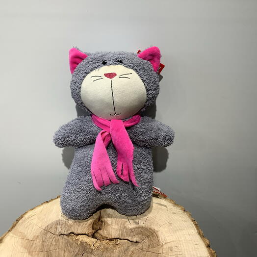 Кот в розовом шарфике