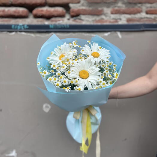 Mini-bouquet of daisies