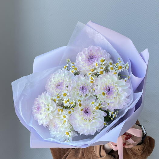 Георгины с ромашкой 💜🌸