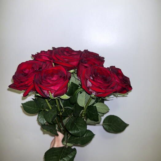 Букет из 9 красных роз 🌹🌹🌹