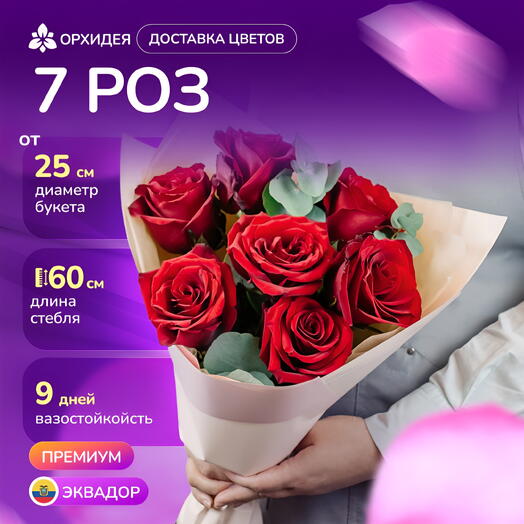 7 роз "Эксплорер"