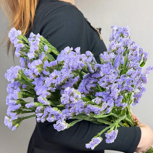 Пачка статица лавандовая,10 шт