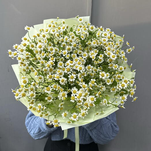 Монобукет из 15 шт Кустовых ромашек