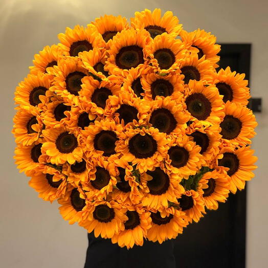Подсолнухи 🌻