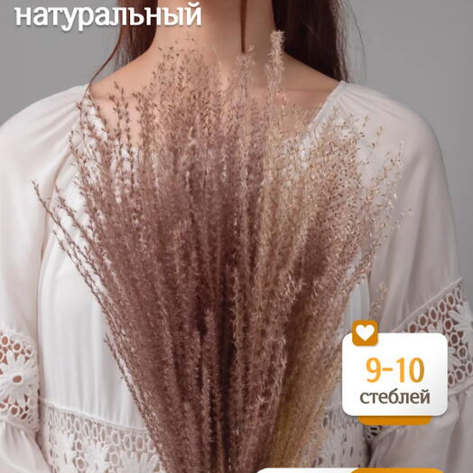Мискантус натуральный 10 шт. Высший сорт М041