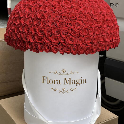 Surprise box 🌹