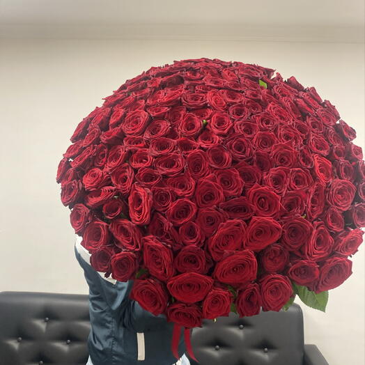 Большой букет красных роз 🌹️🌹️🌹