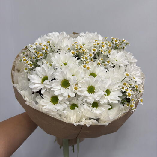 Ромашки
