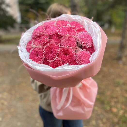 Малиновое облако