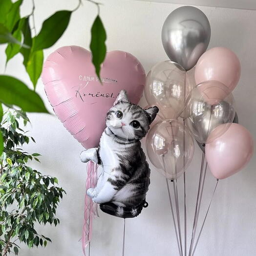 Шары с котенком