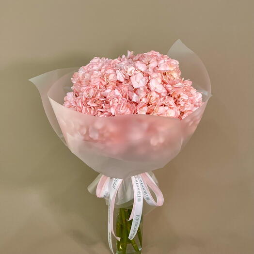 Букет из девяти розовых гортензий Blush Bloom