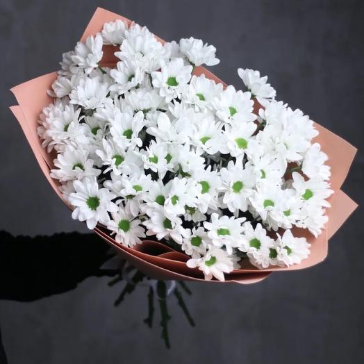 Daisies