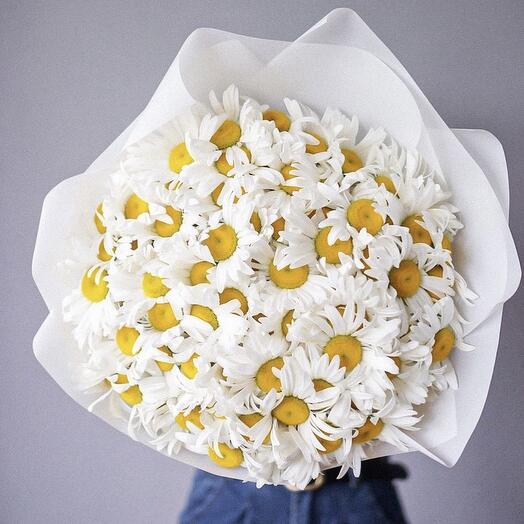 Mono 6 with daisies 75 pcs