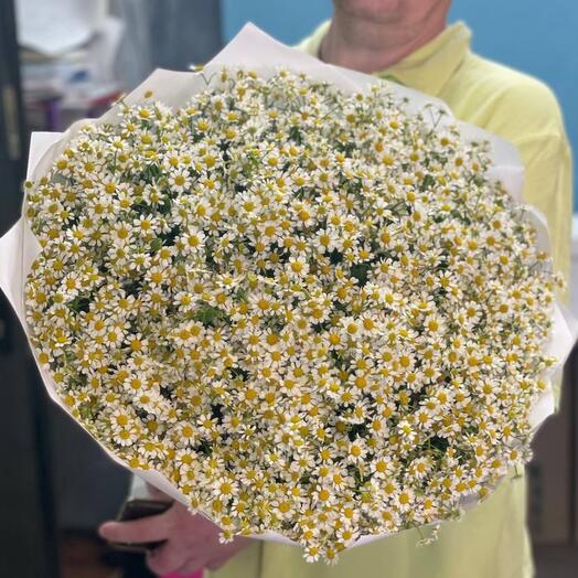 A bouquet of 51 bush daisies 🌼