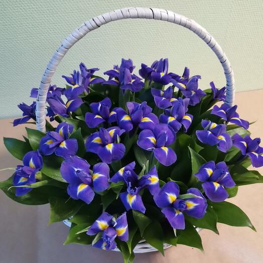 Basket of 29 Irises
