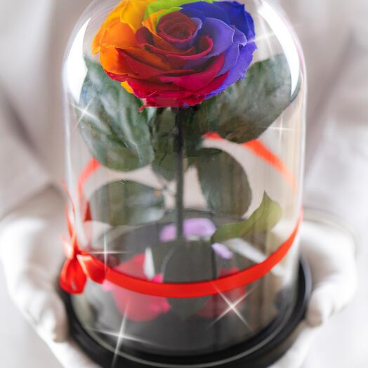 Rosa estabilizada en matraz Therosedome Premium HIT 11 cm, multicolor
