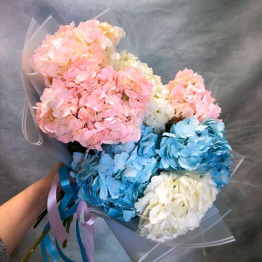 A cloud of hydrangeas