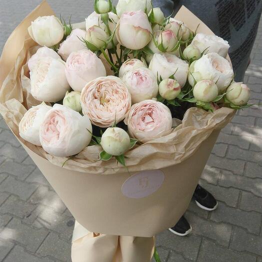 Softness