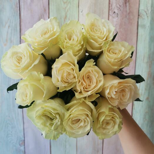 11 roses Mondial
