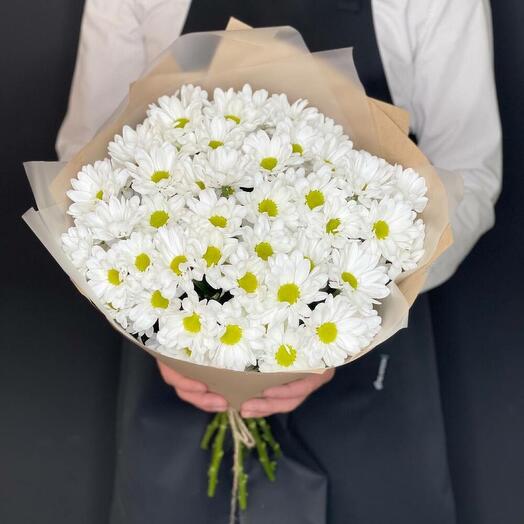 Chrisanthemum