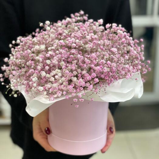 A box of pale pink gypsophila