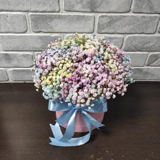 Caja de gypsophila iridiscente🌈