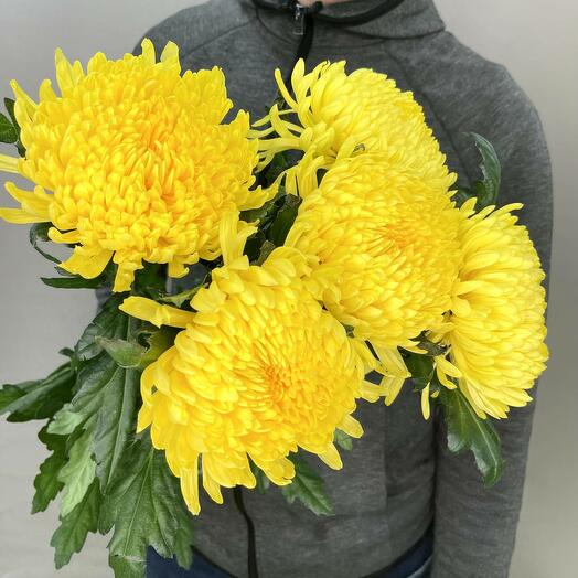 Букет из одноголовых хризантем