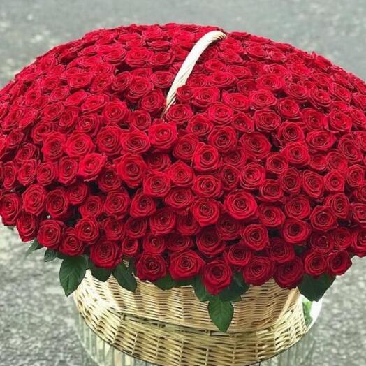 301 Роза в корзине