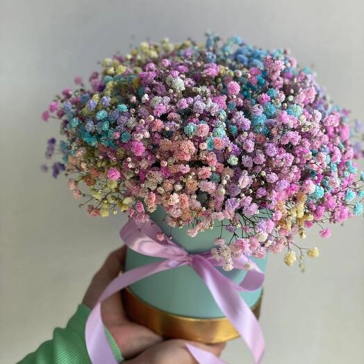 Gypsophila en una Caja