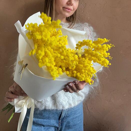 Мимоза