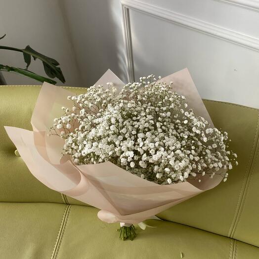 White gypsophila