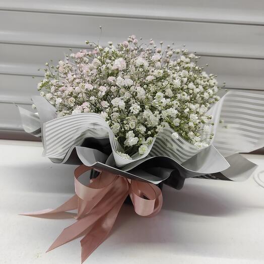 Gypsophila aerea