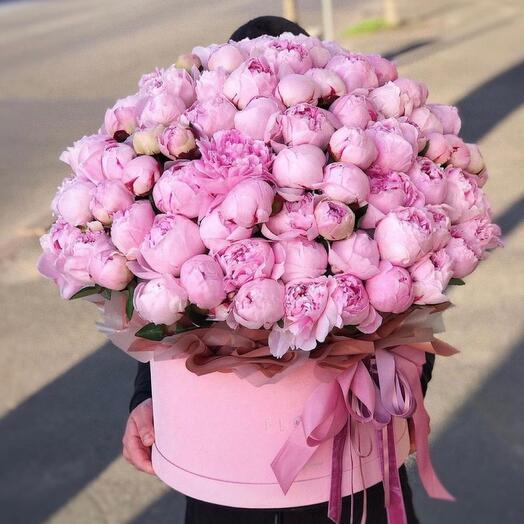 101 peonies in a box