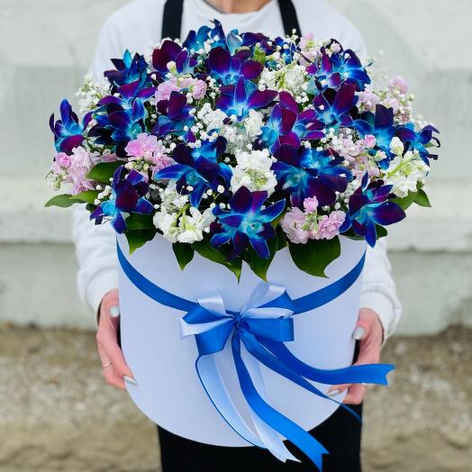 Caja grande de orquídeas y mattiol