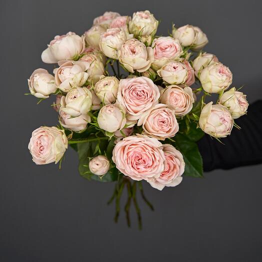 Katie Bush 50 cm 11 pcs