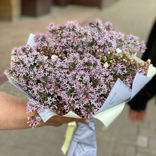Lilas en el Jardín