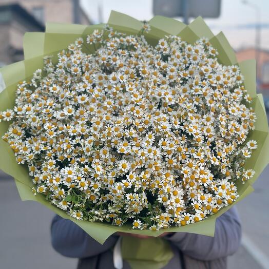Ромашки