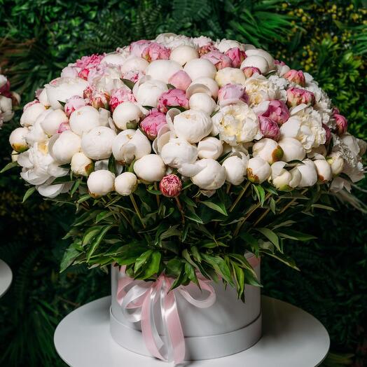 201 mix peony box arrangement