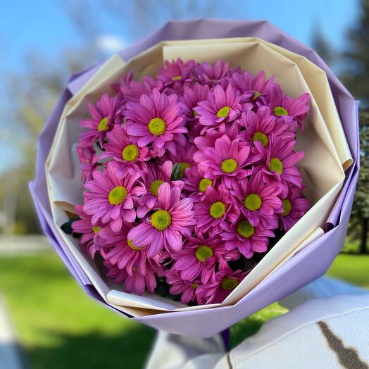 Хризантемы «Pink» 🌸