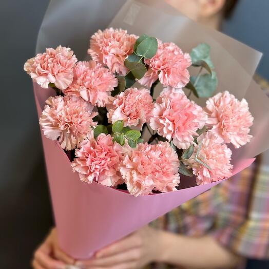 Диантусы розовые