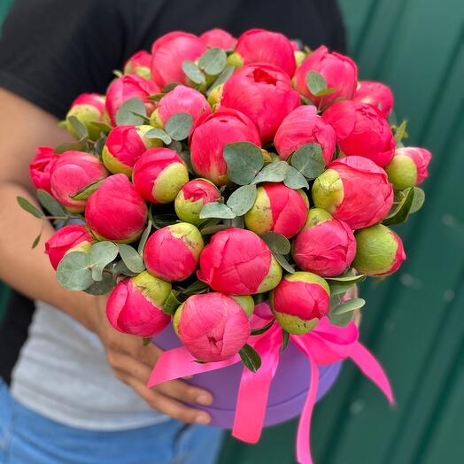 Коралловые пионы в коробке